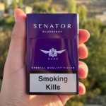 سیگار سناتور بلوبری Senator Blueberry Nano