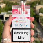 سیگار مارلبرو فارست میست صورتی Marlboro Vista Forest Mist